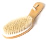 dry-brushing1